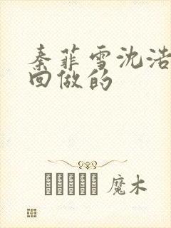 秦菲雪沈浩第几回做的