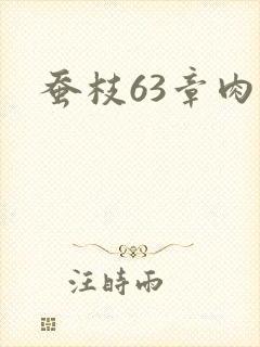 蚕枝63章肉