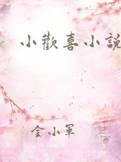 小欢喜小说