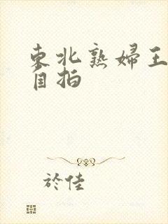 东北熟妇王梅娟自拍