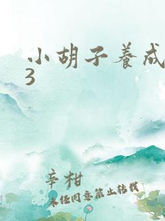 小胡子养成计划3