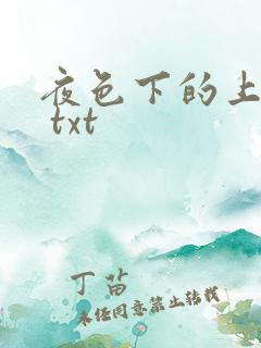 夜色下的上海滩 txt