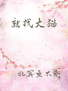 就找大猫