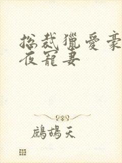 总裁猎爱豪门一夜宠妻