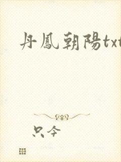丹凤朝阳txt