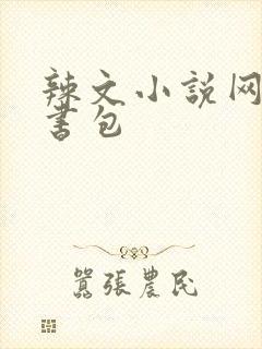 辣文小说网第二书包