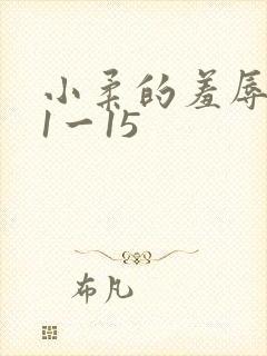 小柔的羞辱日记1一15