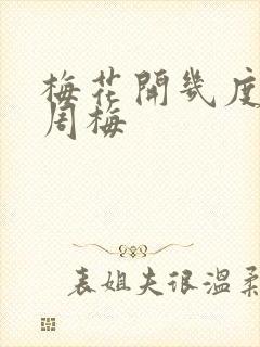 梅花开几度老张周梅