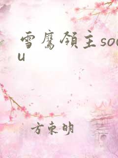 雪鹰领主sodu