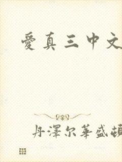 爱真三中文网