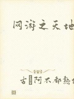 网游之天地下载