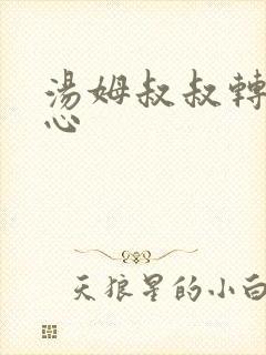 汤姆叔叔转入中心