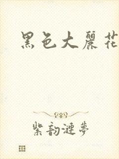 黑色大丽花图片