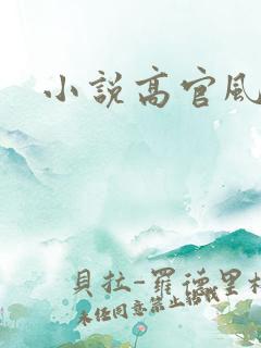 小说高官风流