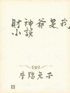 财神爷是我老板小说