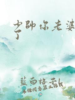 少帅你老婆又跑了