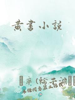 黄书小说