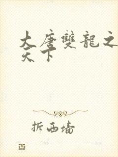 大唐双龙之无敌天下