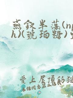 燕钗半落(nph)(琥珀糖)更新