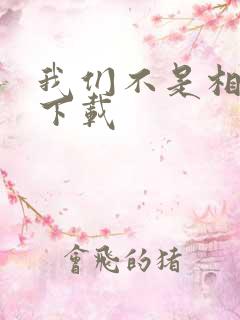 我们不是相爱吗下载