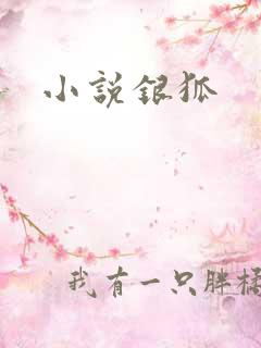 小说银狐