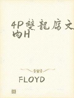 4P双龙腐文纯肉H