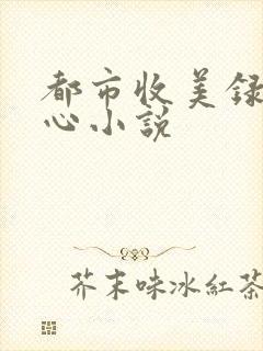 都市收美录宁素心小说