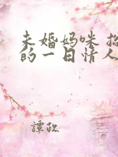 未婚妈咪 总裁的一日情人