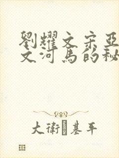 刘耀文宋亚轩车文河马的秘密河润滑油