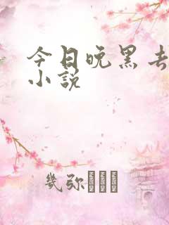 今日晚黑去见你小说