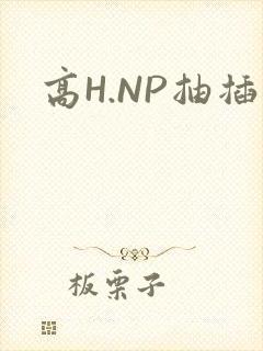 高H.NP抽插