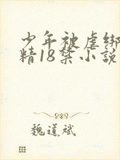 少年被虐绑着榨精18禁小说