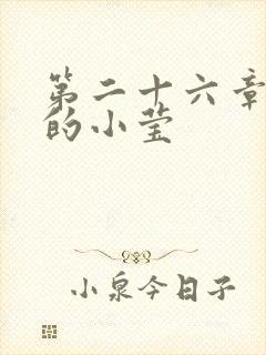 第二十六章满足的小莹