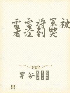 雷电将军被旅行者淦到哭