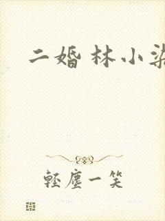 二婚 林小染