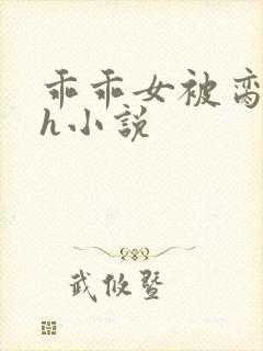 乖乖女被脔日常h小说