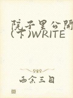 院子里公开惩戒(下)WRITE