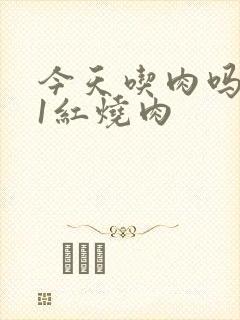 今天吃肉吗1V1红烧肉