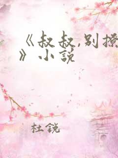 《叔叔,别撩我》小说