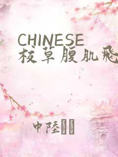 CHINESE校草腹肌飞机视频