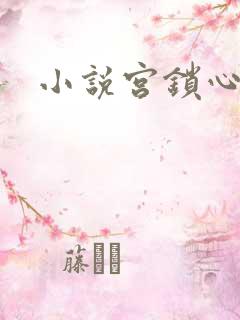小说宫锁心玉