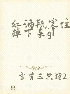 红酒瓶塞住不准掉下来gl