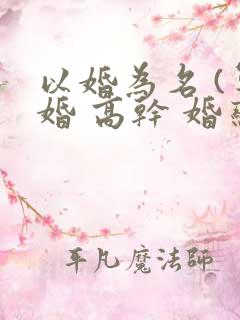 以婚为名 (军婚 高干 婚恋)