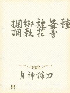 捆绑被各种工具调教花蒂