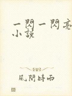 一闪一闪亮晶晶小说