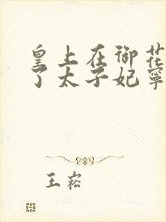 皇上在御花园C了太子妃宁儿