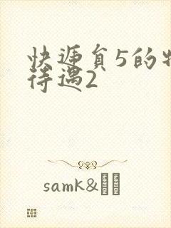 快递员5的特殊待遇2