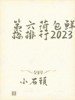 第六荷包鲜辣排总排行2023