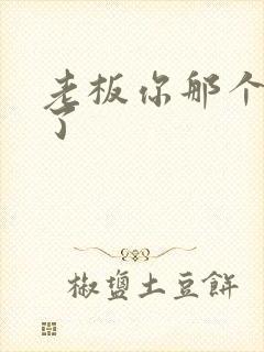 老板你那个太长了