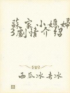 苏家小媳妇1v3剧情介绍